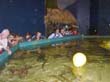 Bild 38: Aquarium